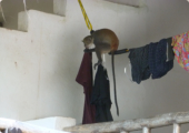 Wäsche aufhängen wenn Äffchen unterm Dach rumtoben...nicht gut...