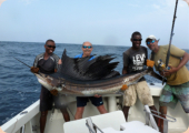 Anordnung vom Skipper, schnell fotografieren weil über 40 kg